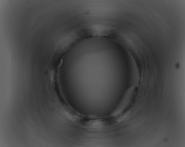 X0000093520219200710191339