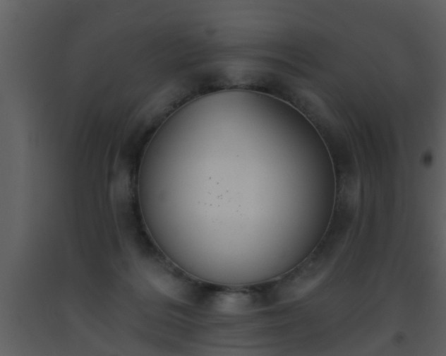 X0000093520220200710191339