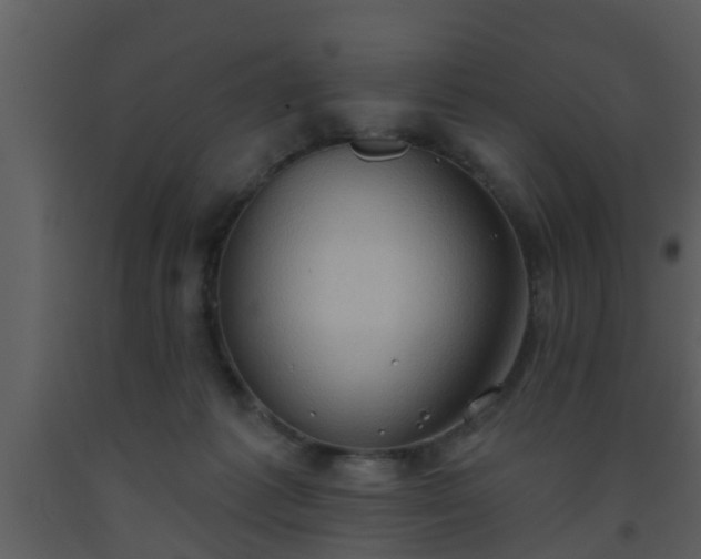 X0000093520221200710191339