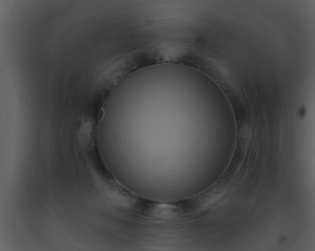 X0000093520222200710191339