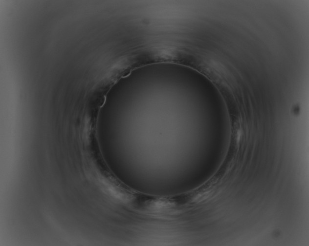 X0000093520223200710191339