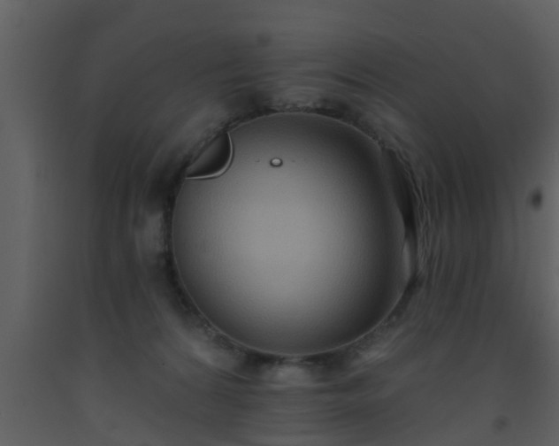 X0000093520224200710191339