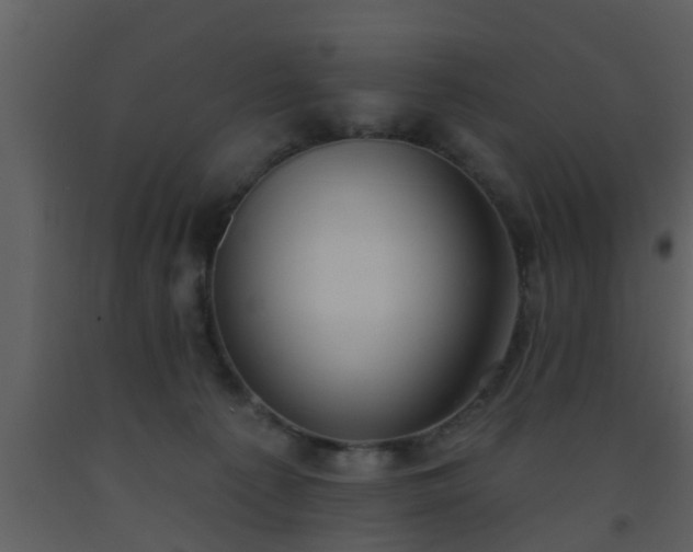 X0000093520225200710191339