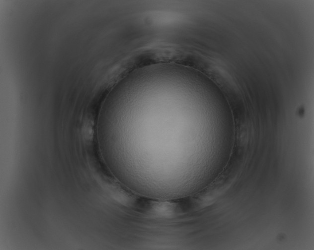 X0000093520226200710191339