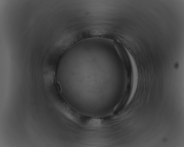 X0000093520227200710191339