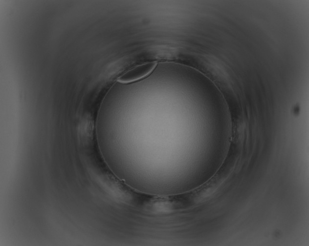 X0000093520228200710191339