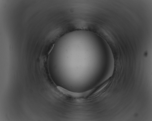 X0000093520229200710191339