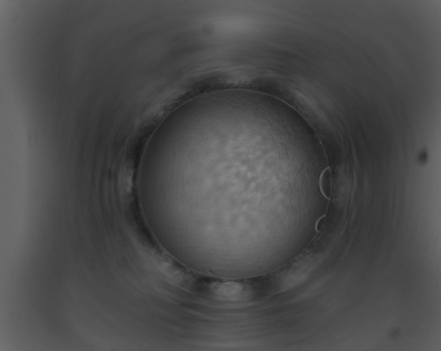 X0000093520230200710191339