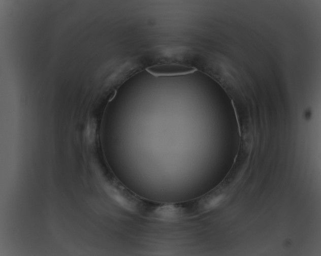 X0000093520231200710191339