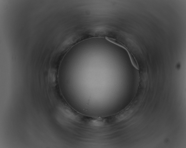 X0000093520232200710191338