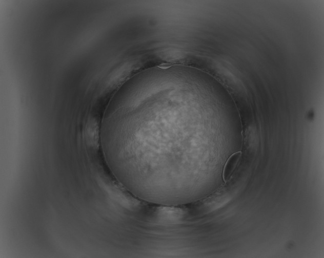 X0000093520234200710191338