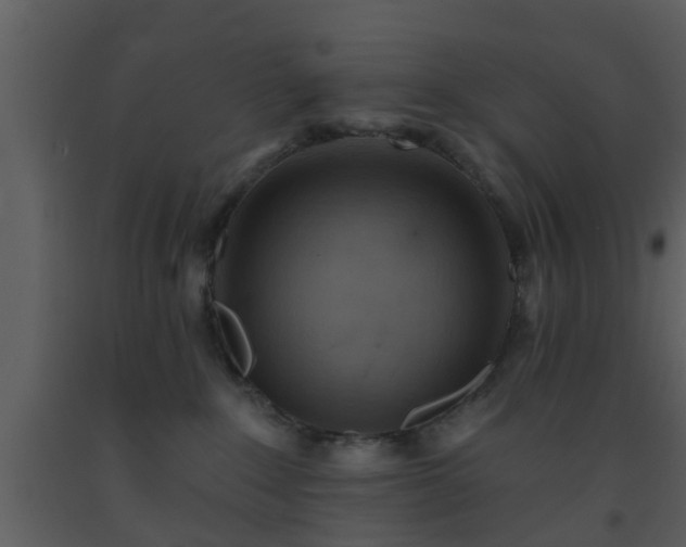 X0000093520235200710191338