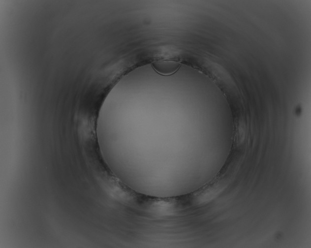 X0000093520236200710191338