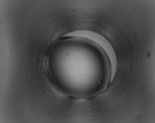 X0000093520237200710191338