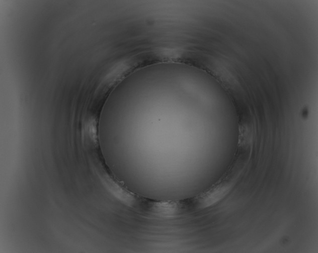 X0000093520238200710191338