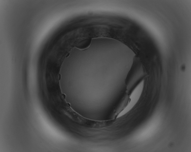 X0000093520239200710191338