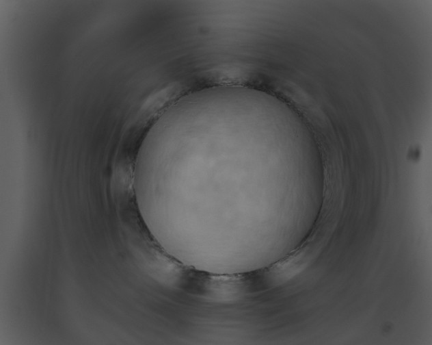 X0000093520240200710191338