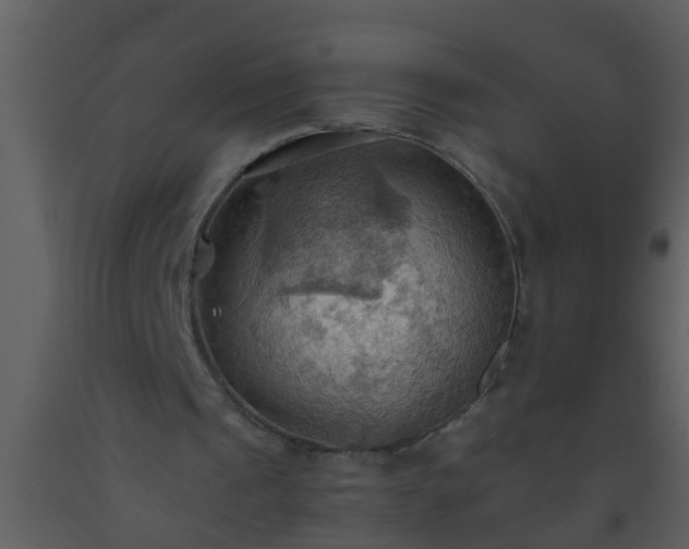 X0000093520241200710191338