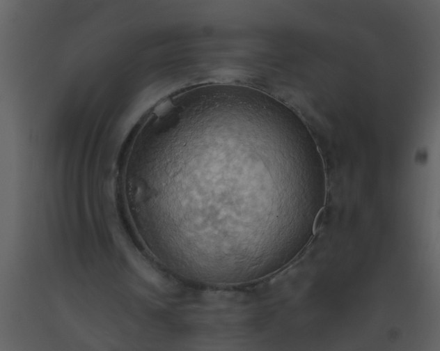 X0000093520242200710191338