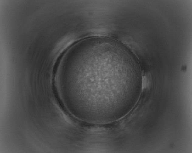 X0000093520243200710191338