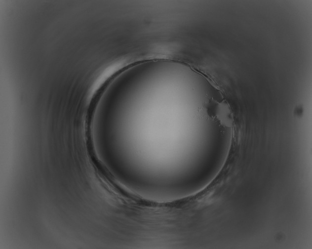 X0000093520244200710191338