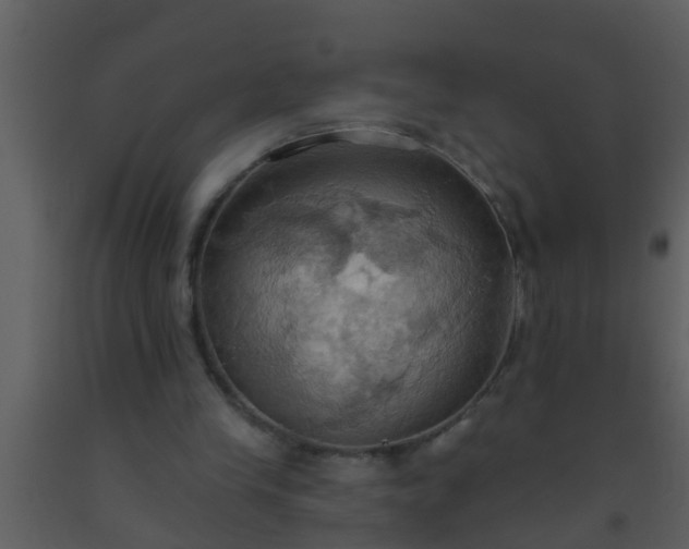 X0000093520245200710191338