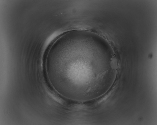 X0000093520246200710191338