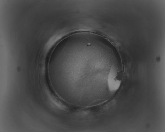 X0000093520247200710191338