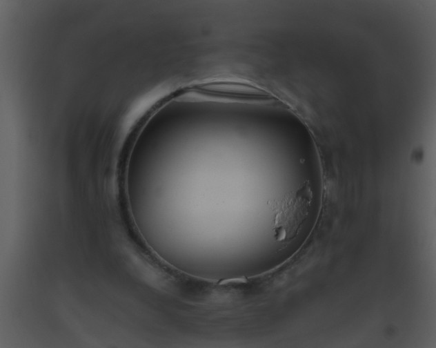 X0000093520248200710191338