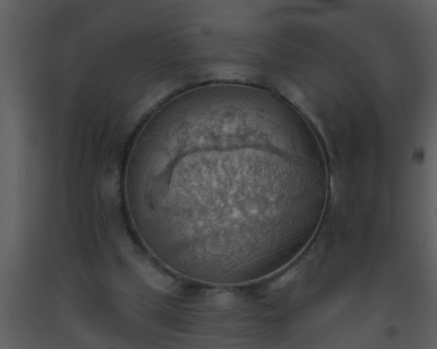 X0000093520249200710191338