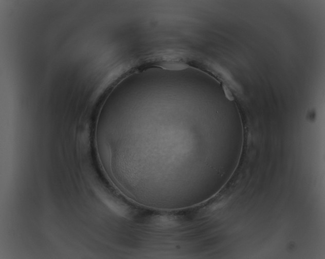 X0000093520250200710191338