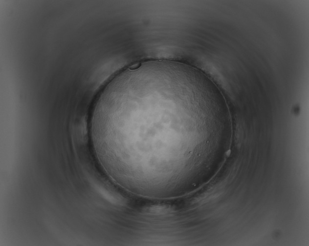 X0000093520251200710191338