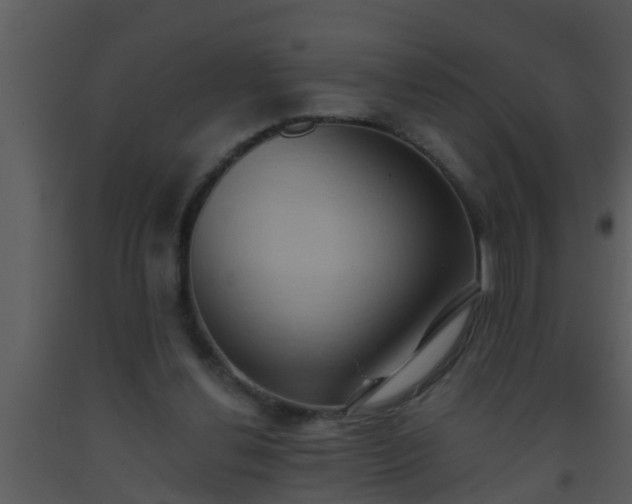 X0000093520252200710191338