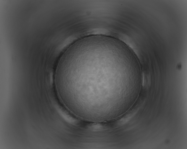 X0000093520253200710191338