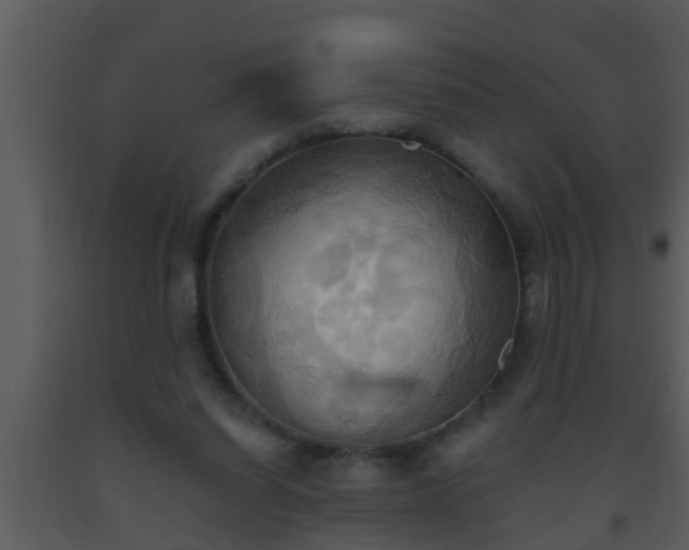 X0000093520254200710191338