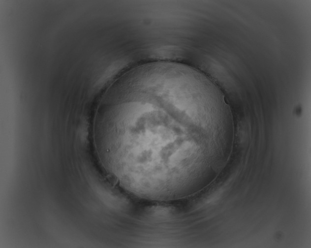 X0000093520255200710191338