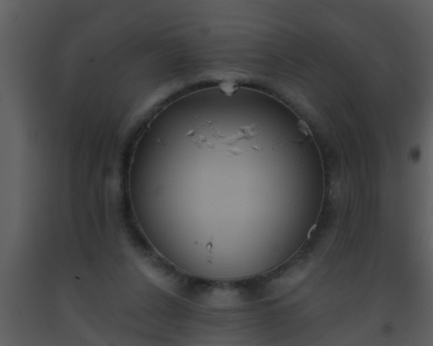 X0000093520256200710191338