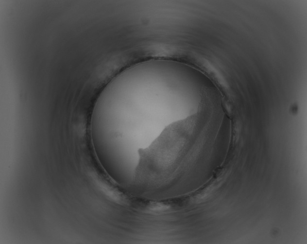 X0000093520257200710191338