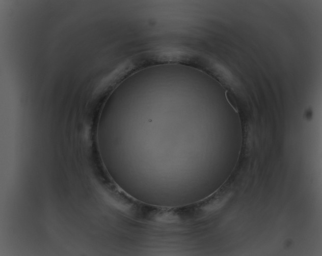 X0000093520258200710191338