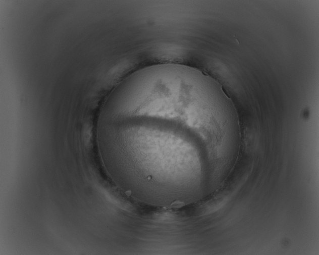 X0000093520259200710191338