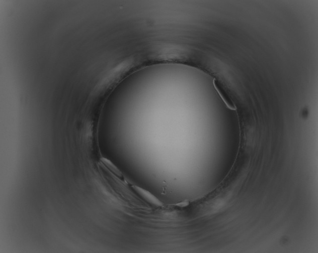 X0000093520260200710191338