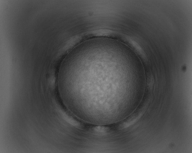 X0000093520261200710191338