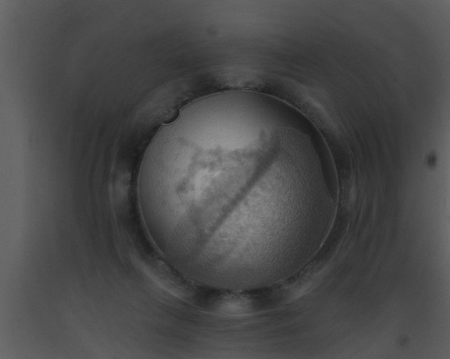 X0000093520263200710191338