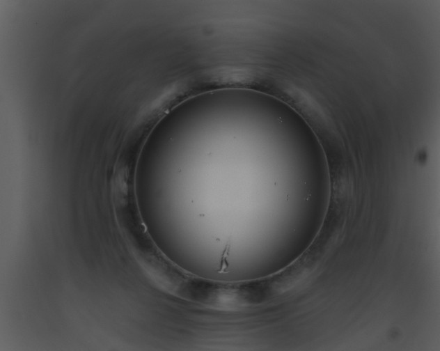 X0000093520264200710191338