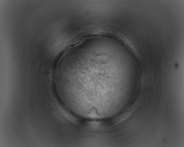 X0000093520265200710191338