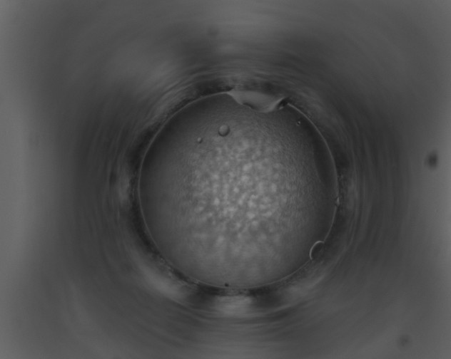 X0000093520266200710191338