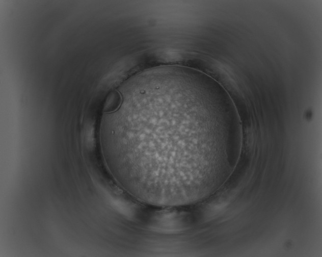 X0000093520267200710191338