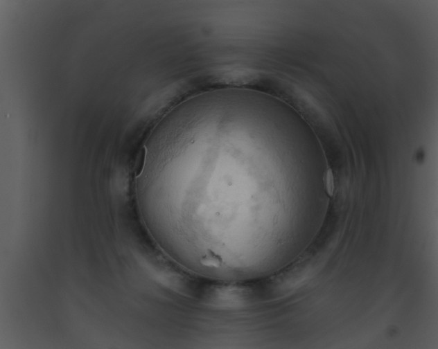 X0000093520268200710191338