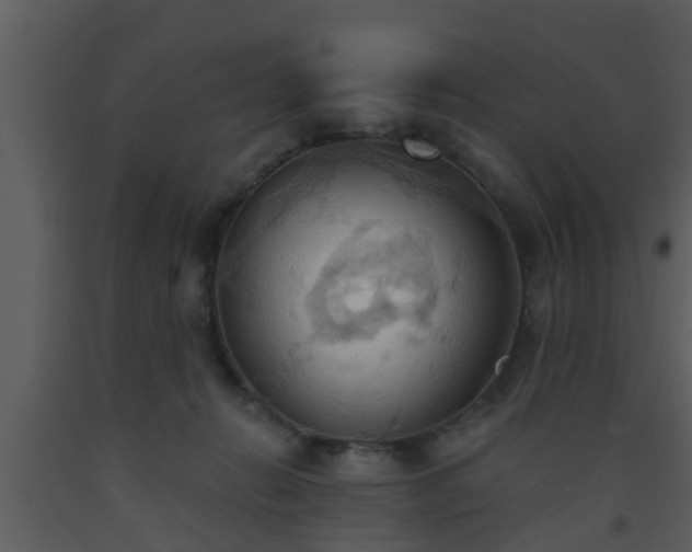 X0000093520270200710191338