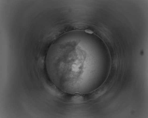 X0000093520271200710191338